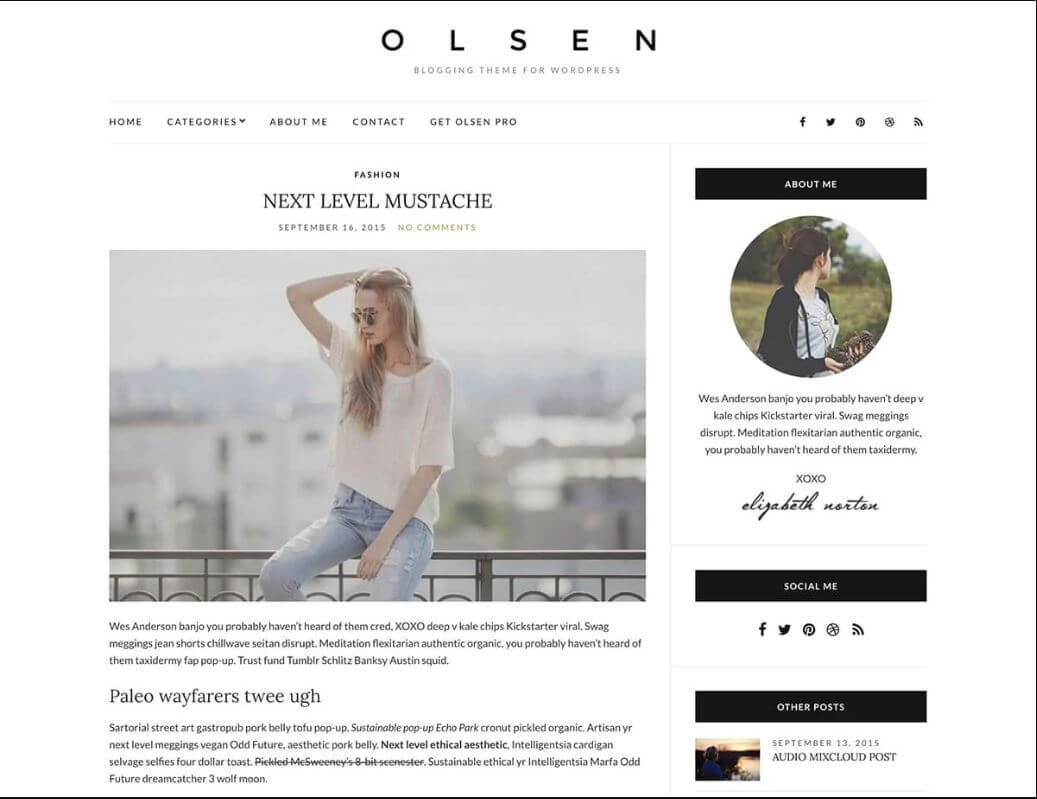 Tema de WordPress Gratis Olsen Lite