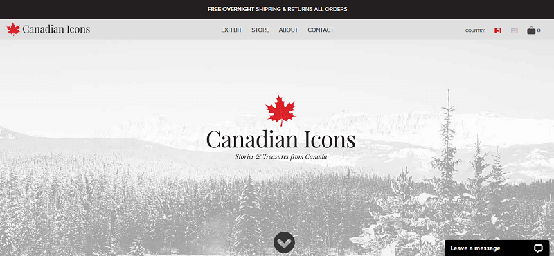 Ejemplo de sitio vitrina ecommerce Canadian Icons