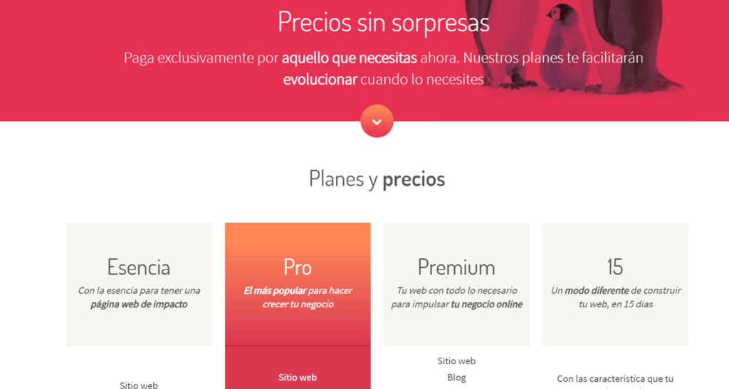 Planes de creación de un sitio web con la agencia TTandem