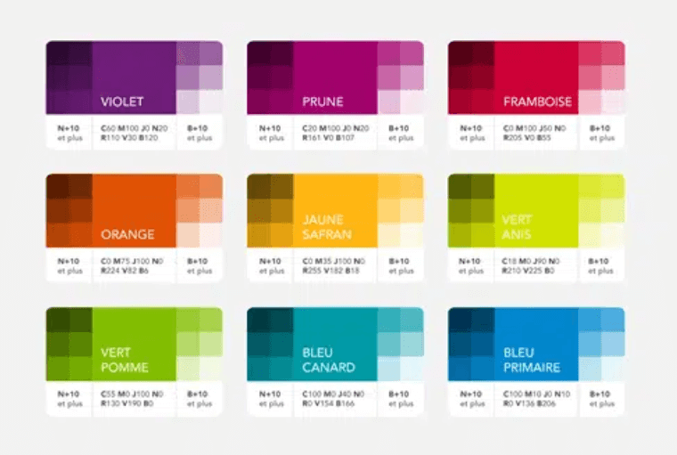 Seleccionar los colores de la identidad visual corporativa