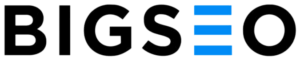 Logo de la agencia Big SEO