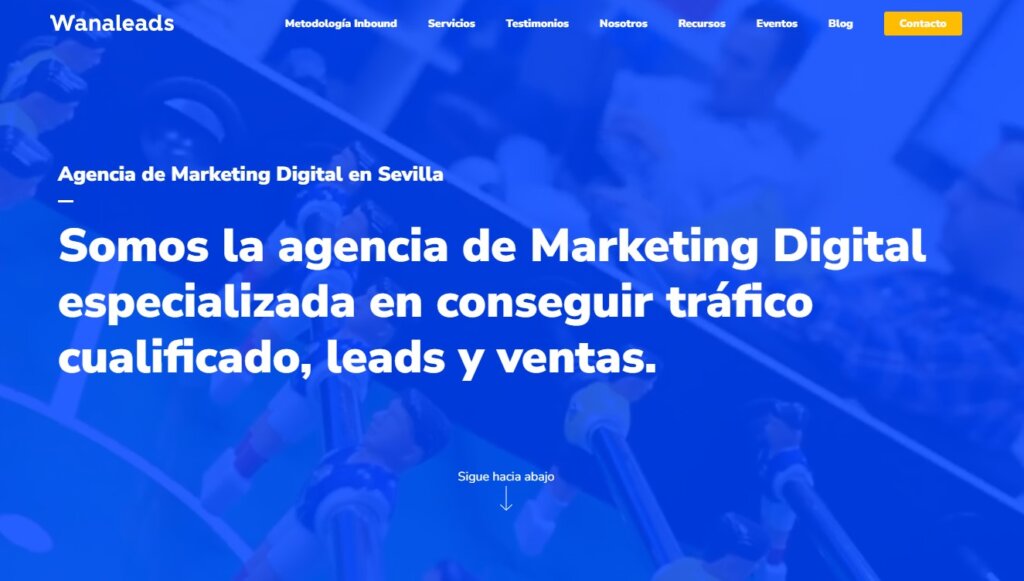 Agencia de Facebook Ads Wanaleads