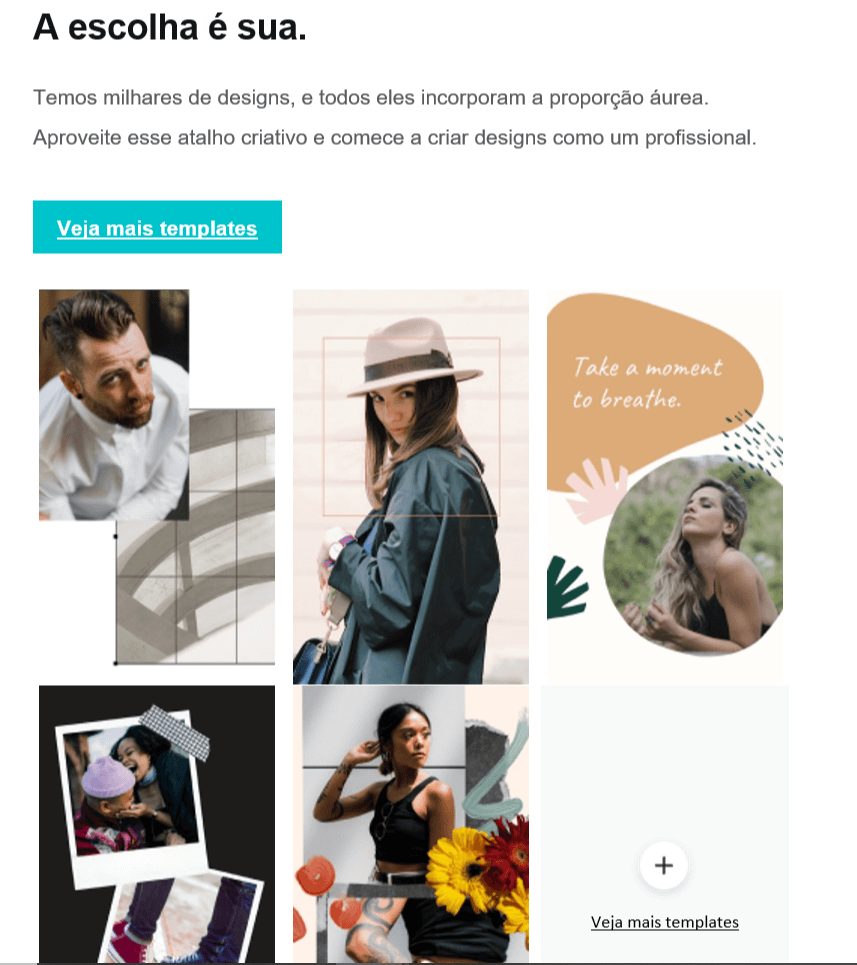 Newsletter do Canva