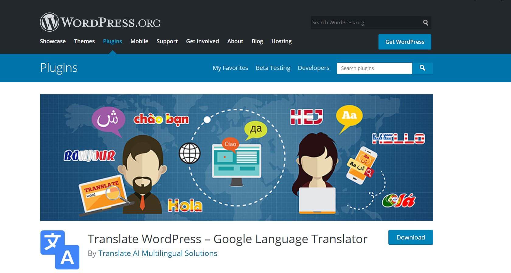 google-language-translator