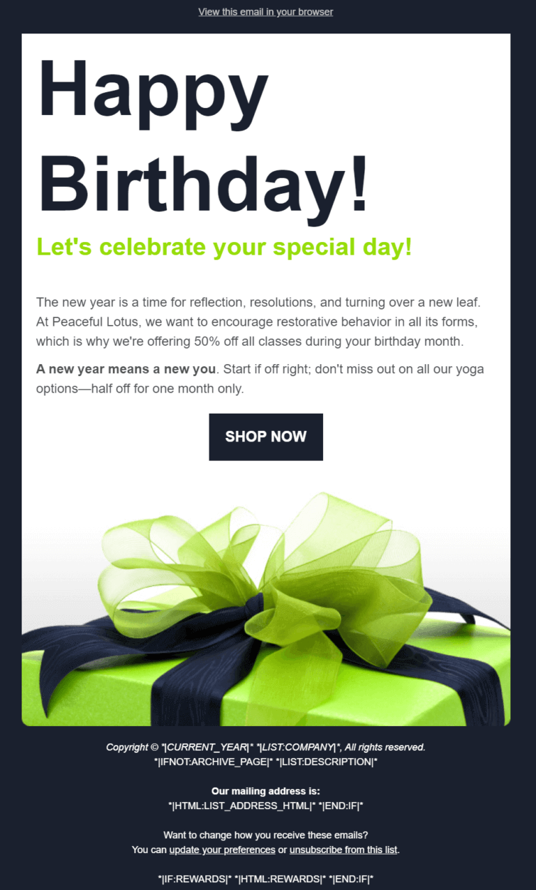 templates de newsletters birthdaygift