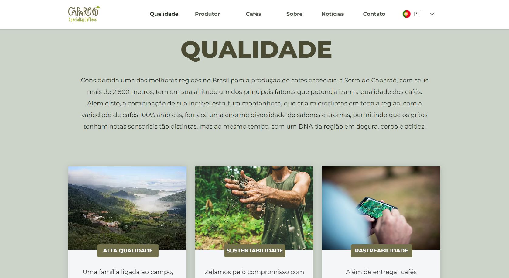 Exemplos-Website-Wix-caparao